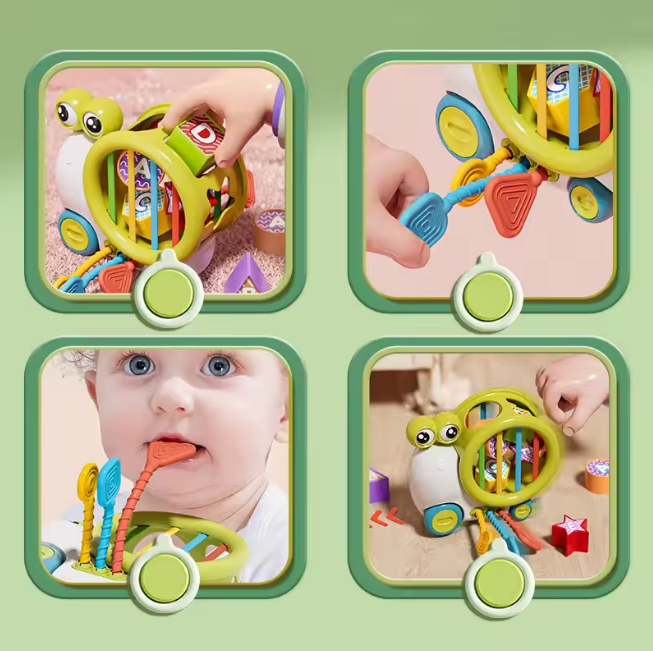 Premium Baby Snail Activity Toy
