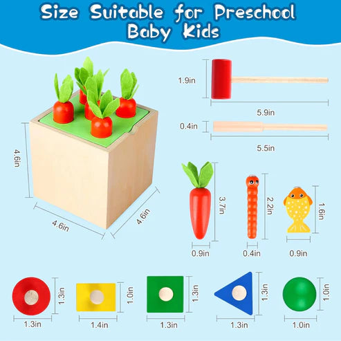 5in1 Wooden Montessori Educational Toy