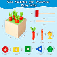 5in1 Wooden Montessori Educational Toy