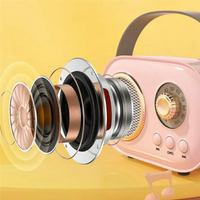 C20 Plus Wireless Karaoke Bluetooth Speaker With Microphone