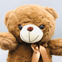 14* Inches Premium Teddy Bear Stuff Toy - Dark Brown