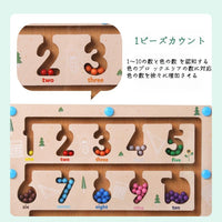 Wooden Magnetic Colorful Maze Game Board