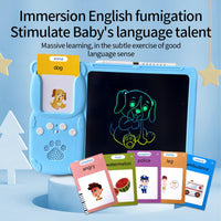 2in1 Flash Card Reader & LCD Writing Tablet