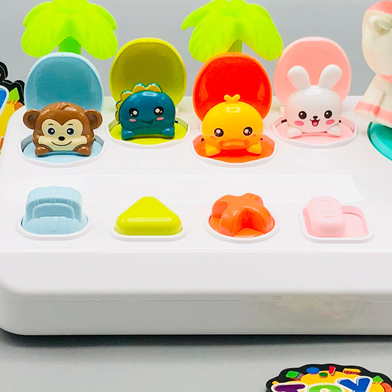 Animal Themed Pop-Up Puzzle Hide & Seek