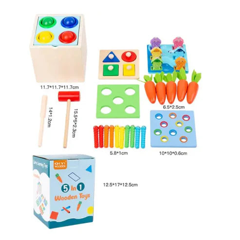 5in1 Wooden Montessori Educational Toy