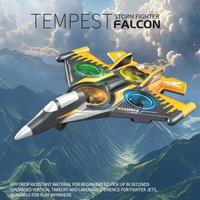 2.4GHz RC Tempest Falcon Flying Fighter Jet Model