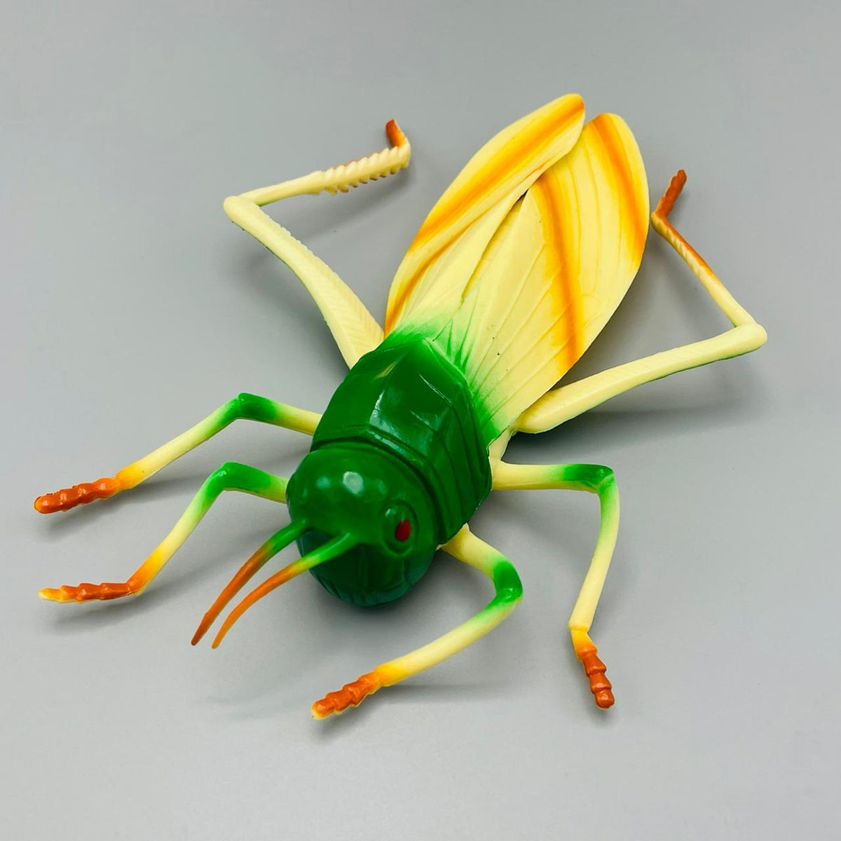 6 in 1 Insects PVC Toy - Large