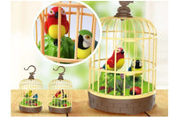 Electric Beautiful Parrot Cage With Chirping Music