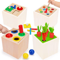5in1 Wooden Montessori Educational Toy