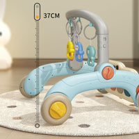 Multi-functional Baby Fitness Walker