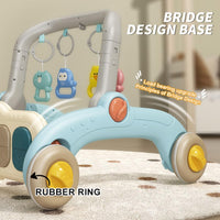 Multi-functional Baby Fitness Walker
