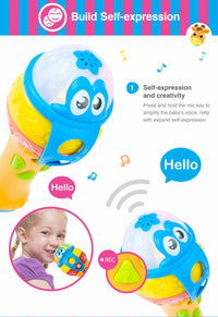 WinFun Lights 'N Sounds Mic For Kids