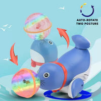 Ball Spinning Stunt Dancing & Musical Seal