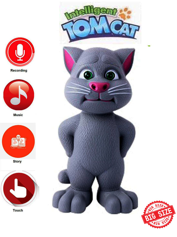 Multi-functional Talking Intelligent Tom