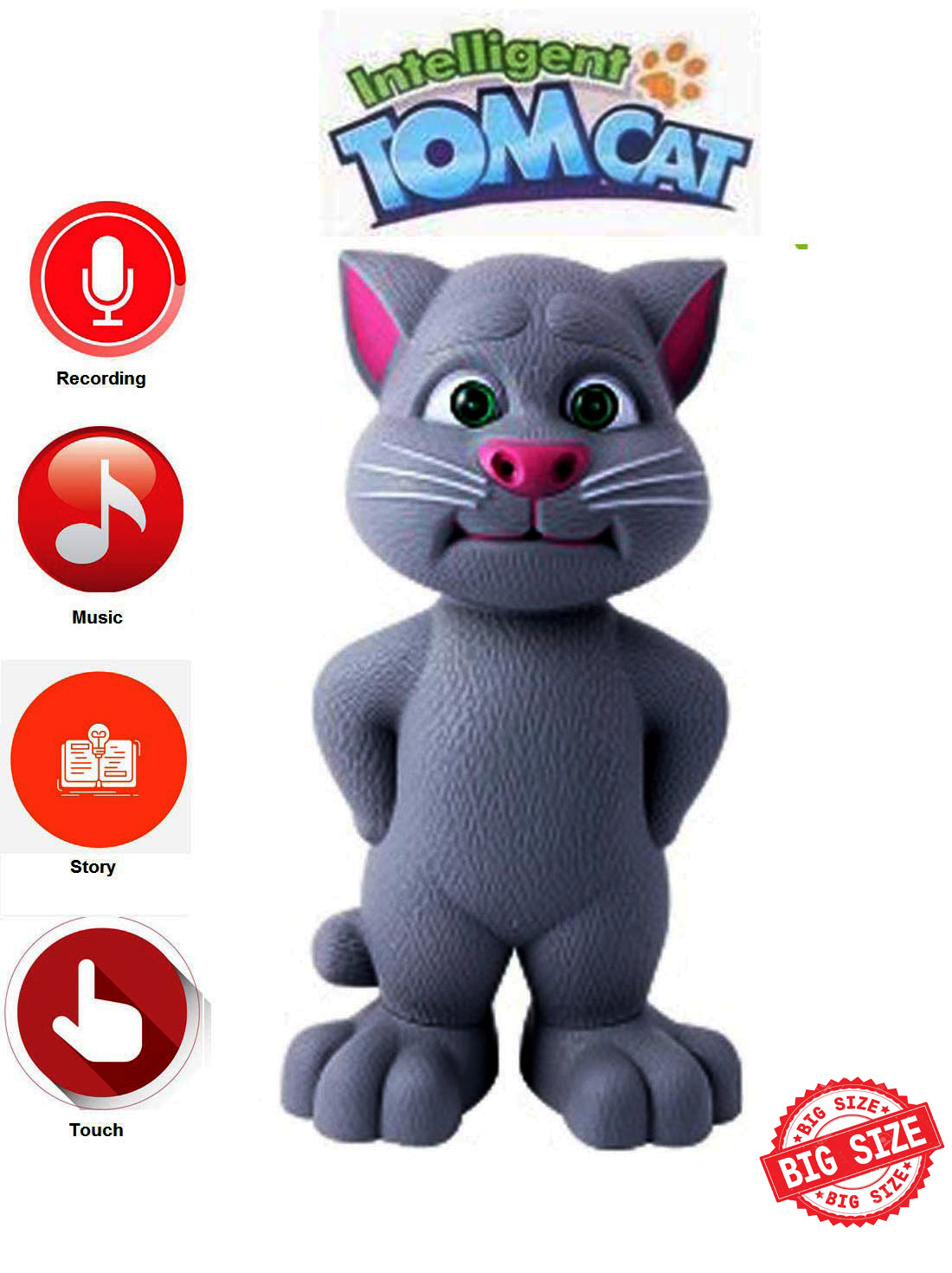 Multi-functional Talking Intelligent Tom