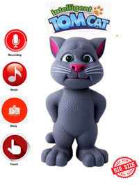Multi-functional Talking Intelligent Tom