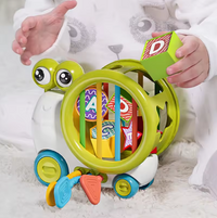 Premium Baby Snail Activity Toy