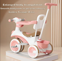 Kids 2in1 Stroller Tricycle With Canopy - Pink