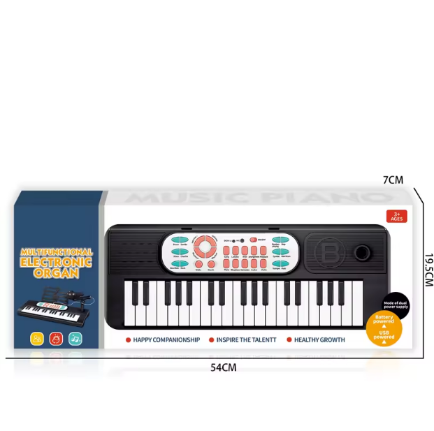 Multi-functional Electronic Organ Piano With Microphone