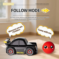 2.4GHz Electric Remote & Induction Controlled Mini Drift Car