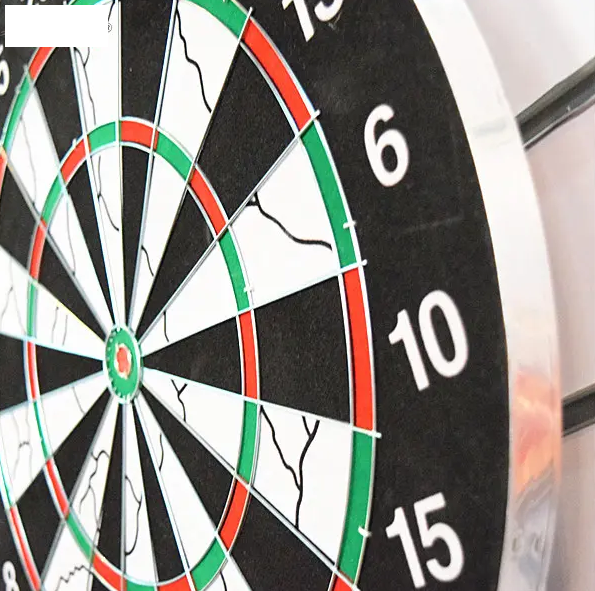 Professional Double-Sided Dart Board - 6 Steel Tip Darts