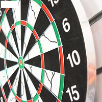 Professional Double-Sided Dart Board - 6 Steel Tip Darts