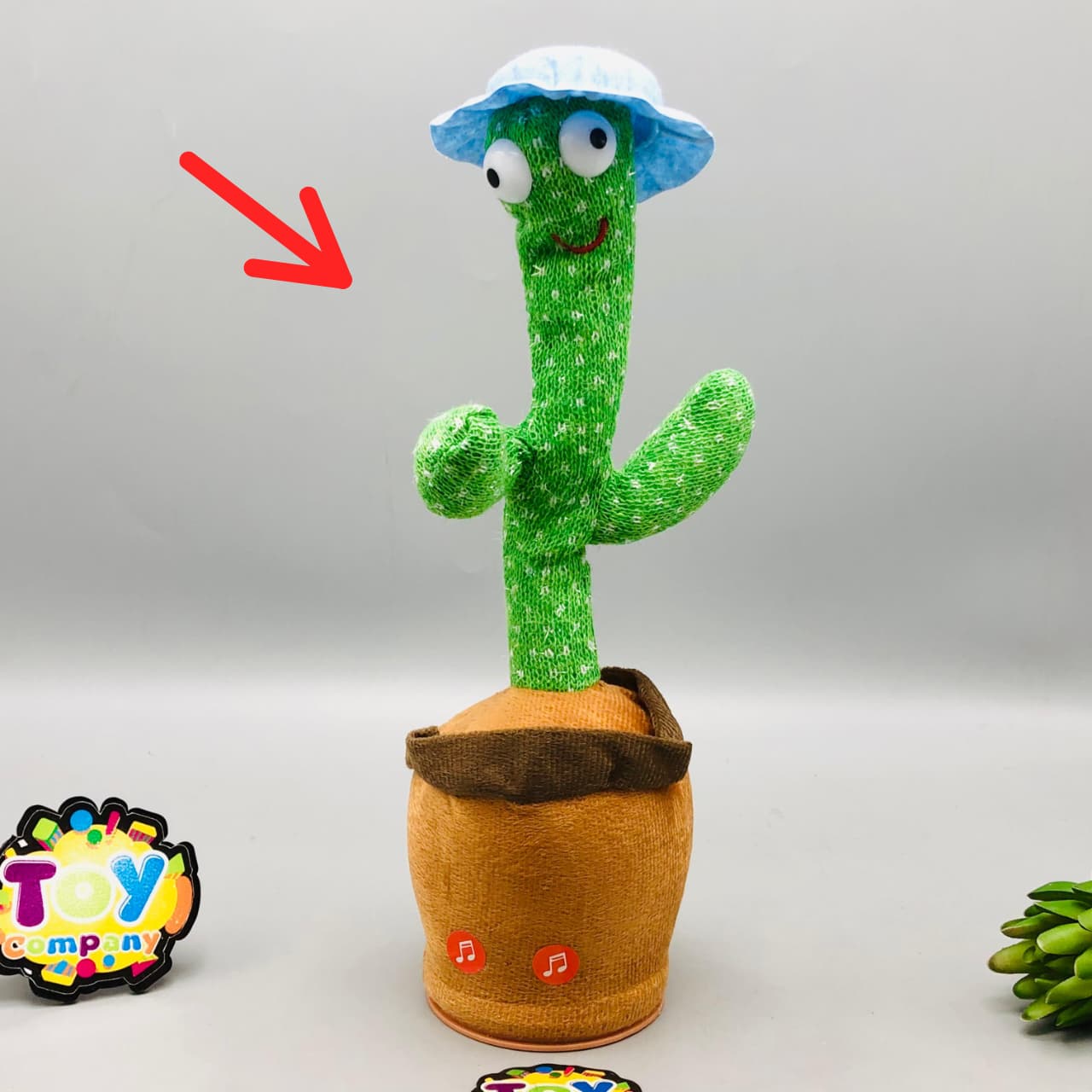 Cute Musical Cactus - Major Fault