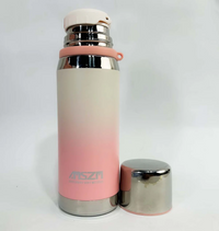 700ml Stainless Steel Water Bottle - Pink