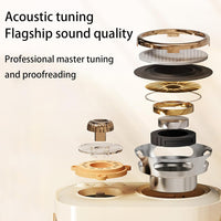 C20 Plus Wireless Karaoke Bluetooth Speaker With Microphone