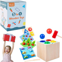 5in1 Wooden Montessori Educational Toy