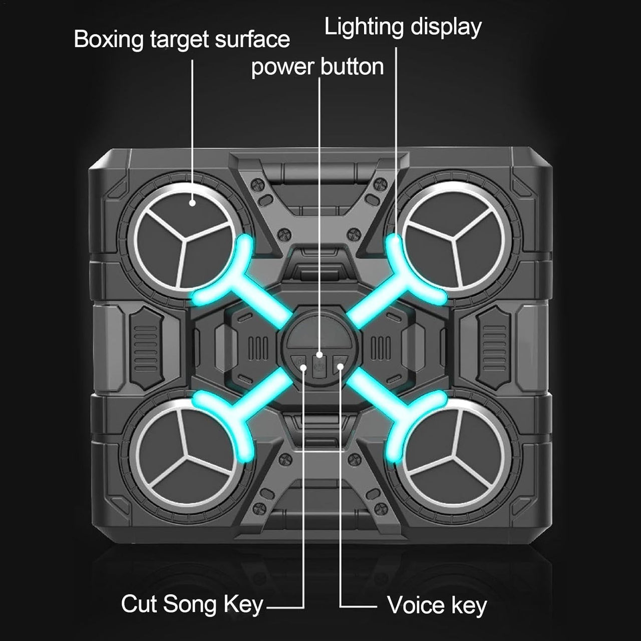 Bluetooth Musical Boxing Target With Cool Lights