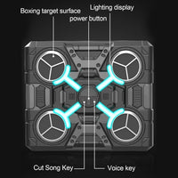 Bluetooth Musical Boxing Target With Cool Lights