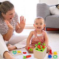 5in1 Wooden Montessori Educational Toy