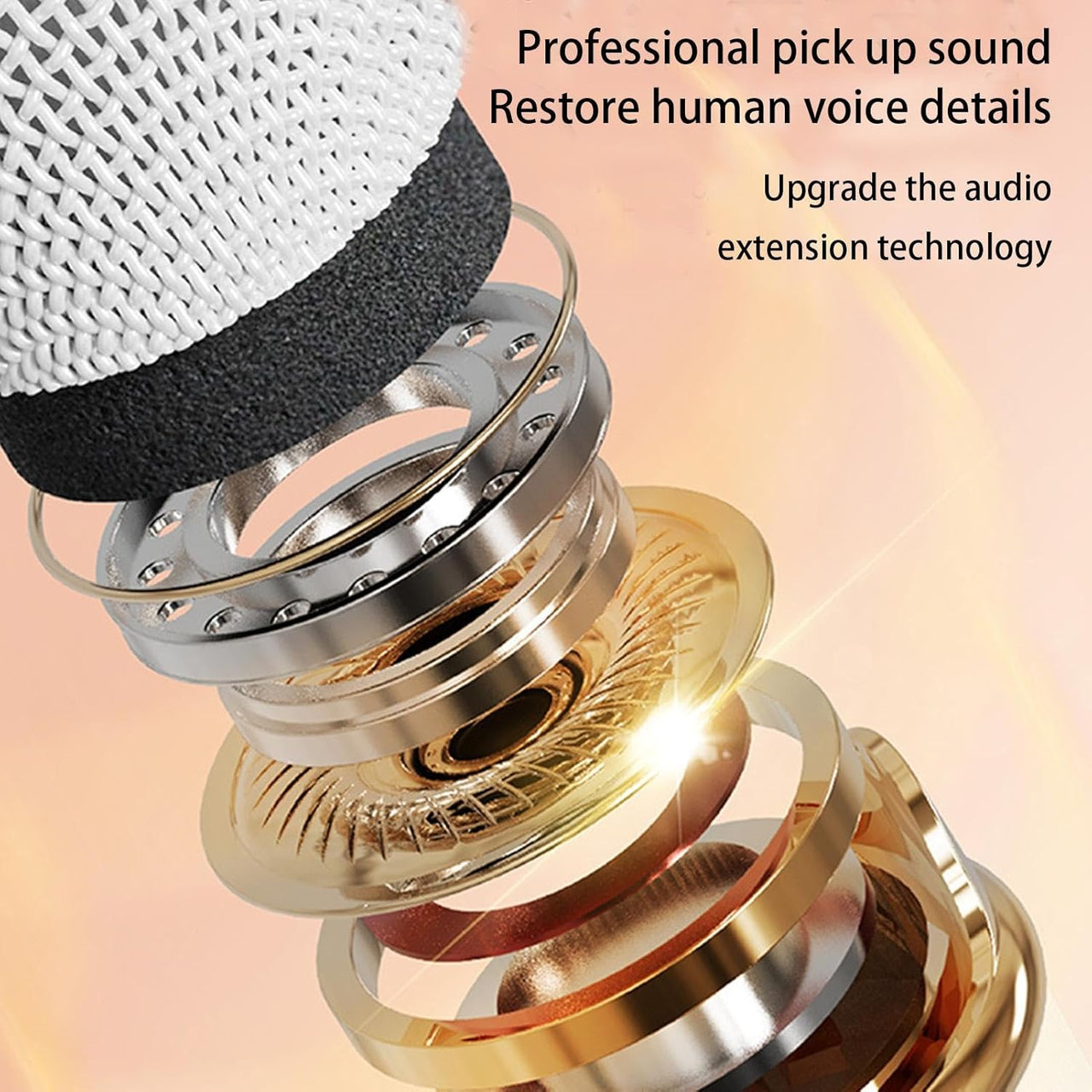 C20 Plus Wireless Karaoke Bluetooth Speaker With Microphone