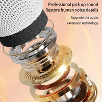 C20 Plus Wireless Karaoke Bluetooth Speaker With Microphone