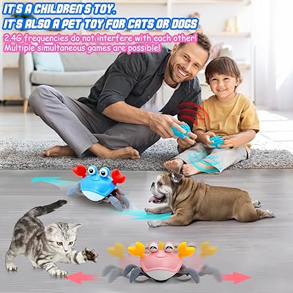 2.4GHz Remote Control Cute Crab With Light & Sound