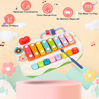 2in1 Toddler Knocking Xylophone & Piano Toy