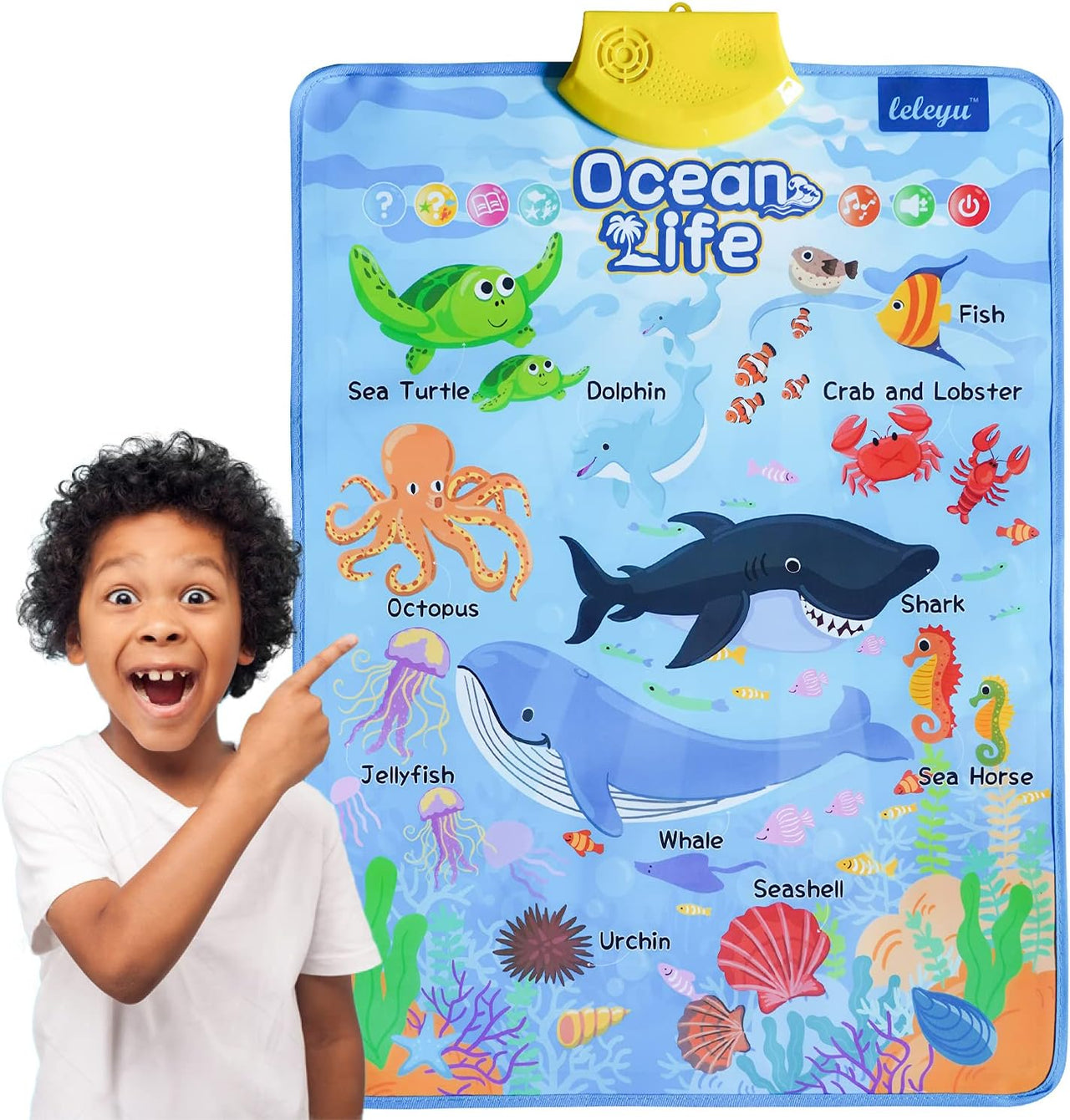 Electronic Ocean Life Animal Learning Wall Chart