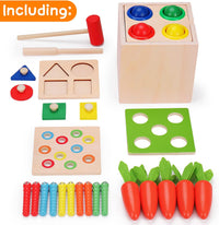 5in1 Wooden Montessori Educational Toy