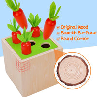 5in1 Wooden Montessori Educational Toy