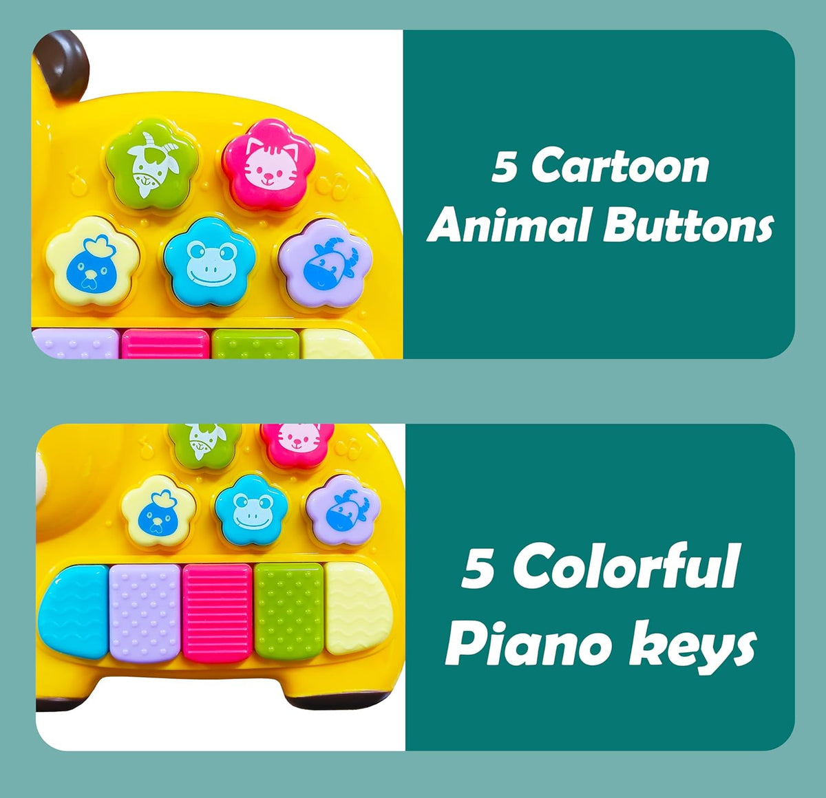 Funny Animal Sound Cute Piano
