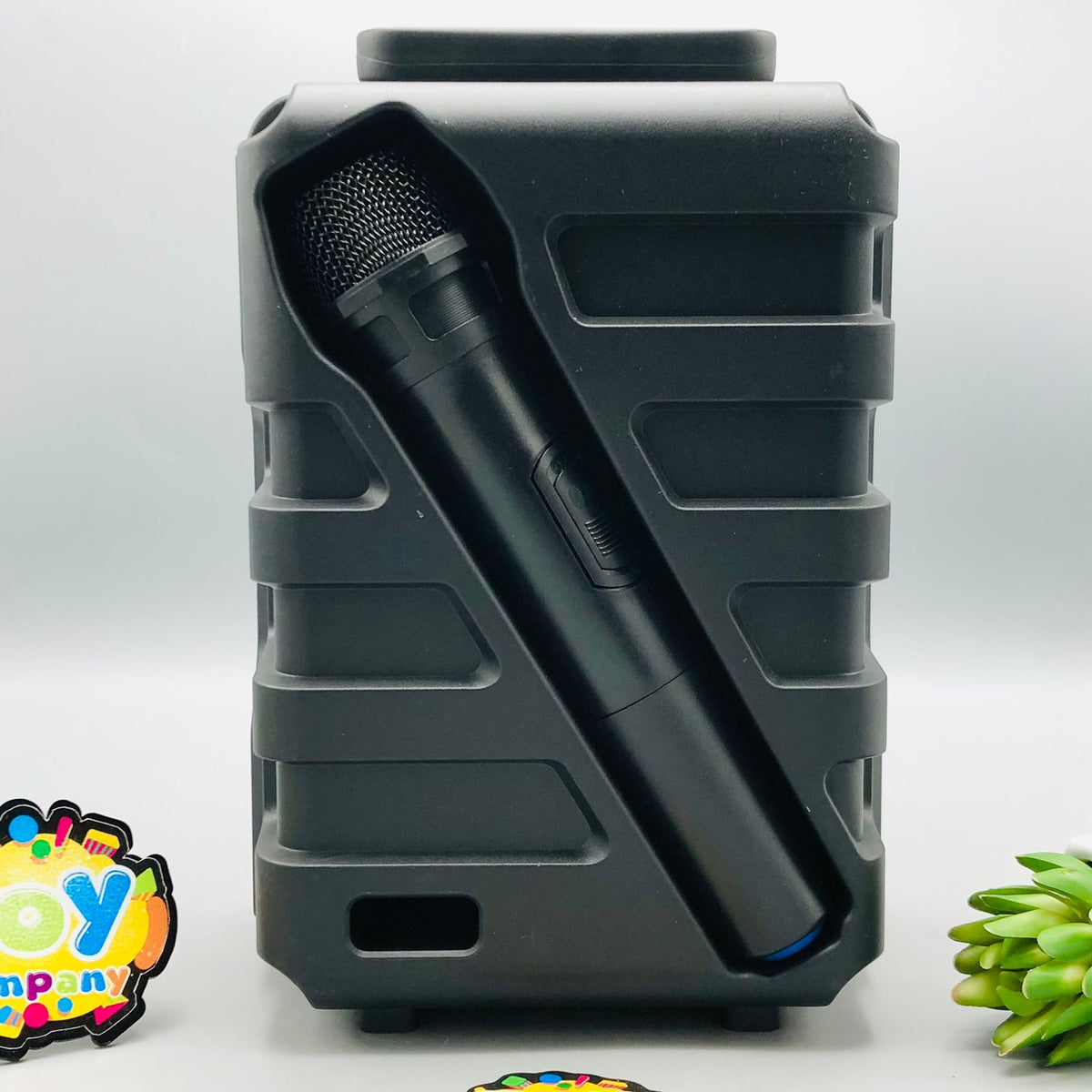 10 Inches Wireless Portable Karaoke Speaker With Mic
