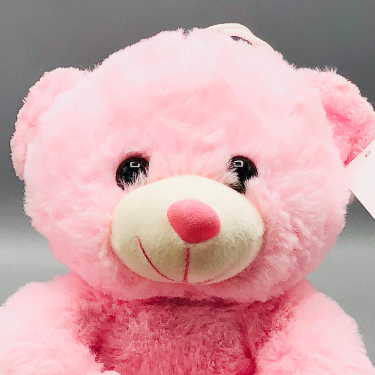 8* Inches Stuff Cute Teddy Bear Toy