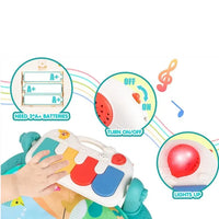 Harmonium Multi-Functional Baby Play Mat Set