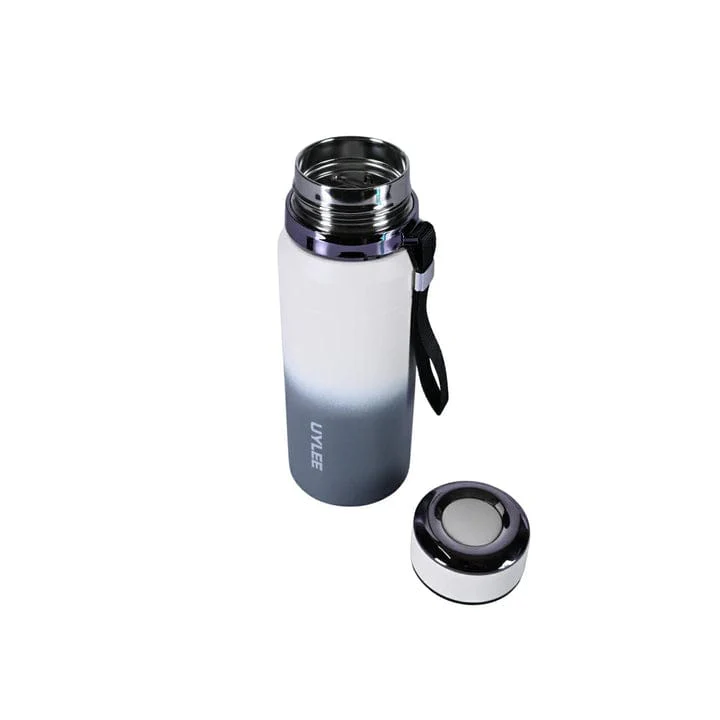 800ml Stainless Steel Water Bottle - Gray
