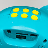 Wireless Karaoke Bluetooth Speaker With Dual Microphone