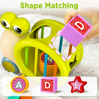 Premium Baby Snail Activity Toy