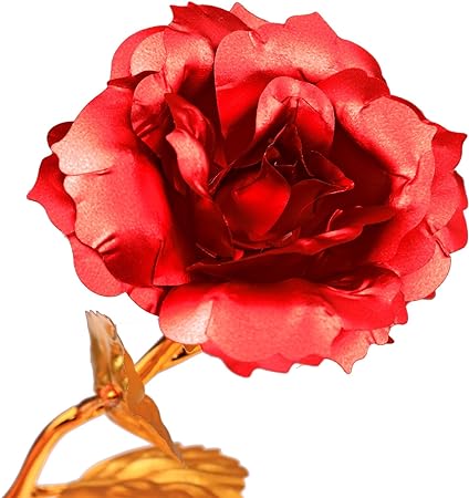 Gold Dipped Real Rose With Luxury Gift Box