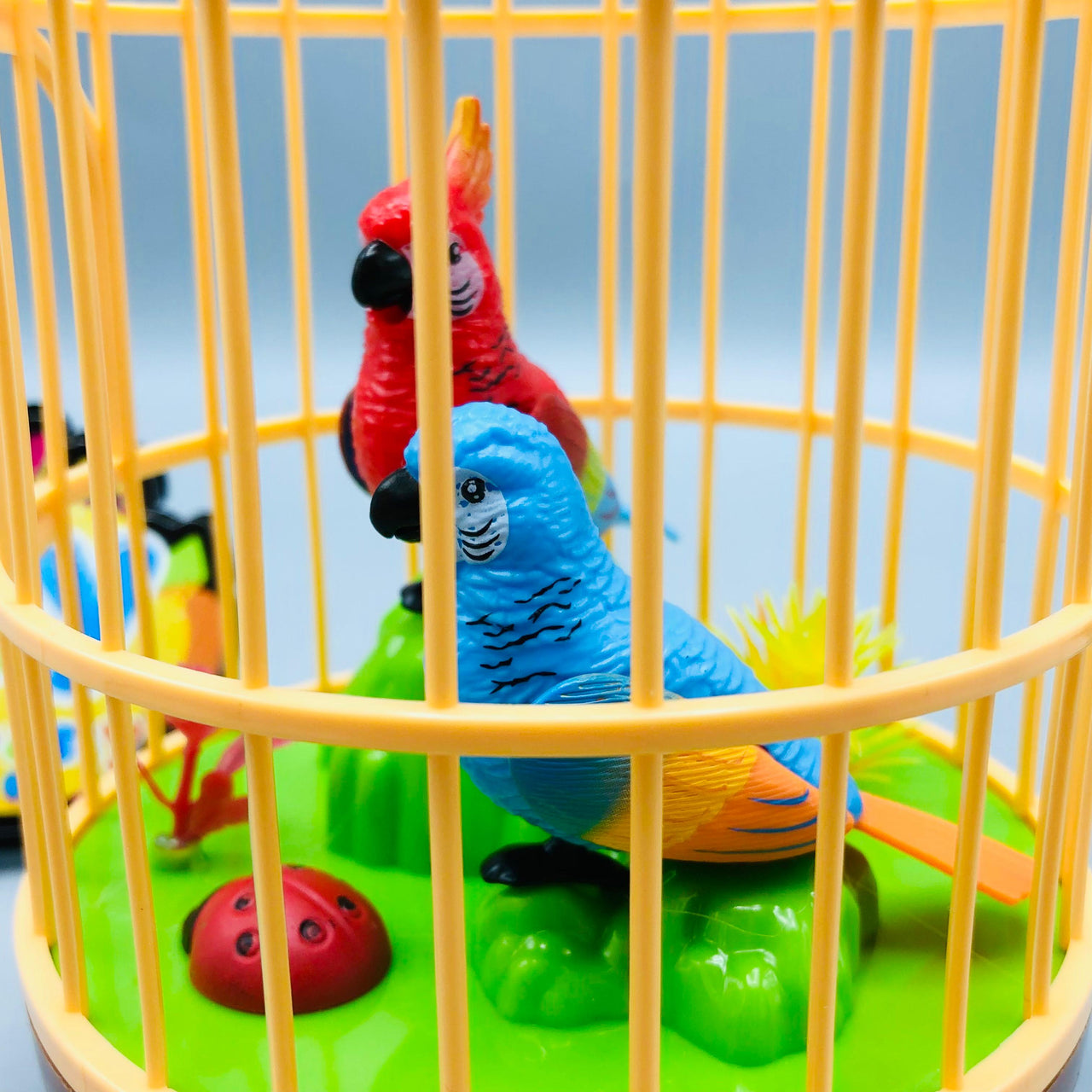 Battery Operated Kids Pretty Bird Cage With Light & Music