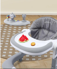 Multi-functional 3in1 Baby Monkey Musical Walker - Gray
